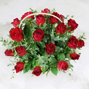 25 красных роз с зеленью в корзине